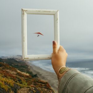 Frame 2